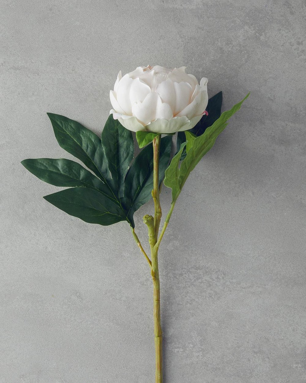 Floare artificiala, Peony, plastic, 58 cm, sampanie