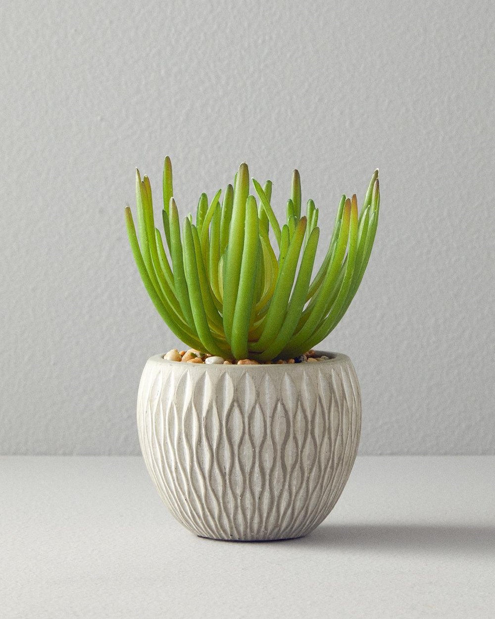 Sukulent Floare Artificială Cu Vază 16.5 cm Gri