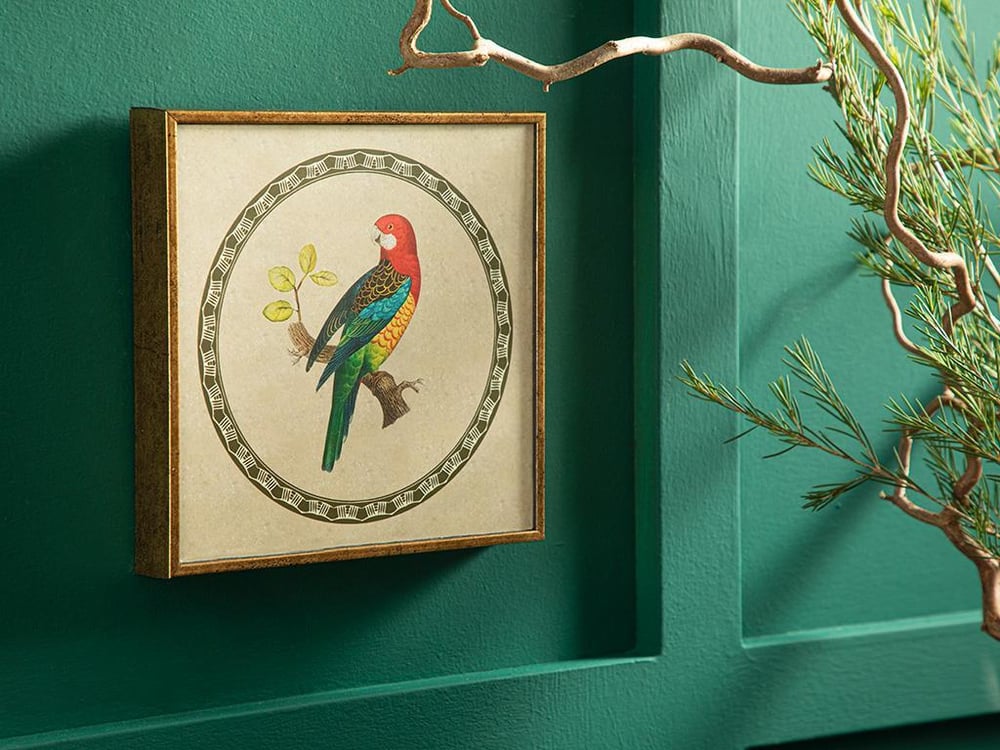 Tablou, Parrot, mdf, 20x20 cm, auriu vintage