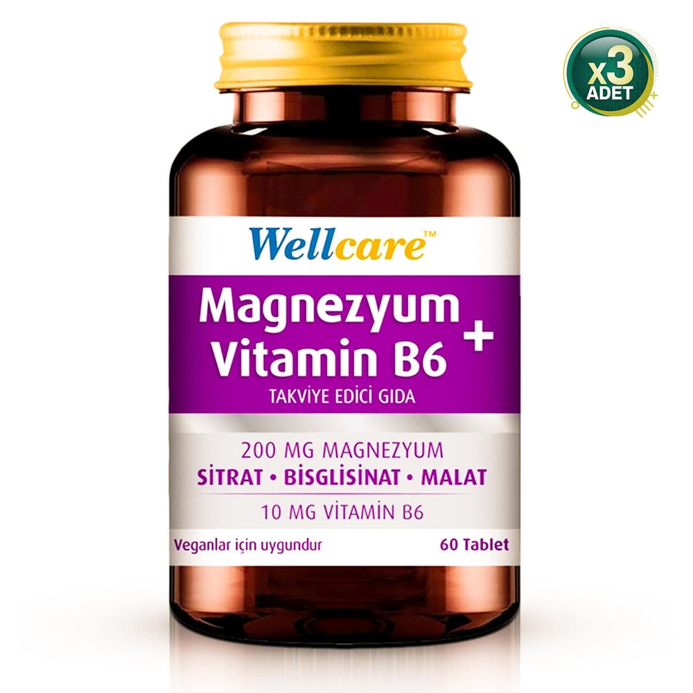 Wellcare Magnezyum + Vitamin B6 60 Tablet 3 Adet