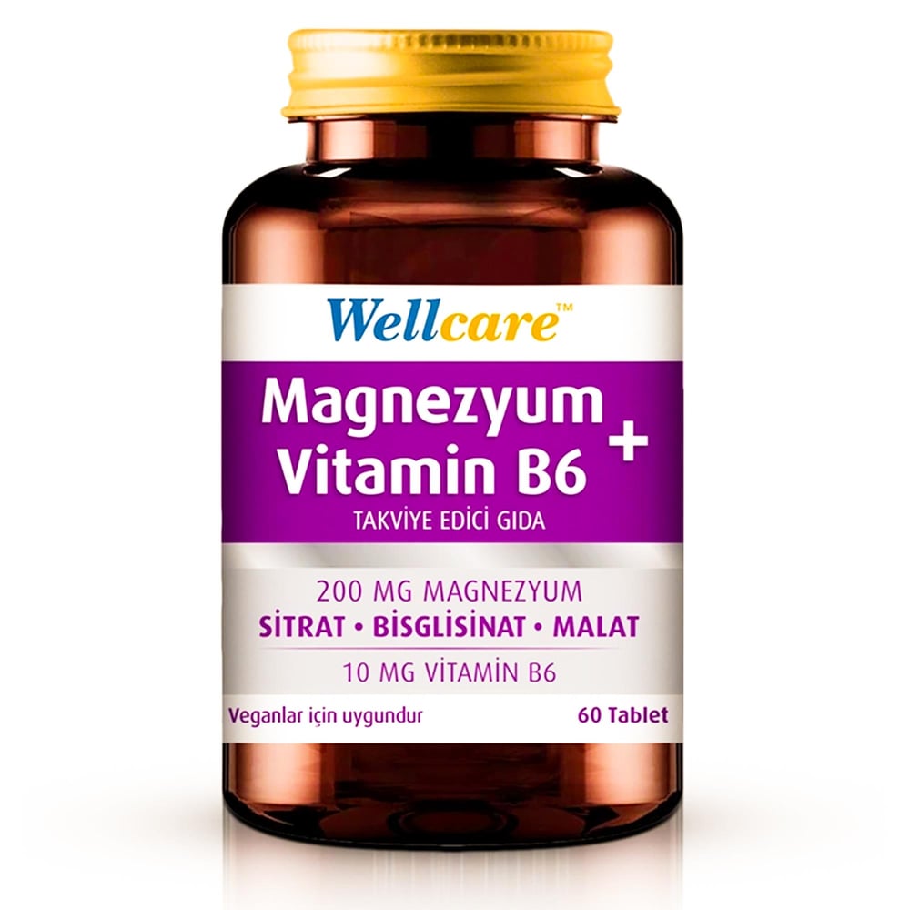 Wellcare Magnezyum + Vitamin B6 60 Tablet