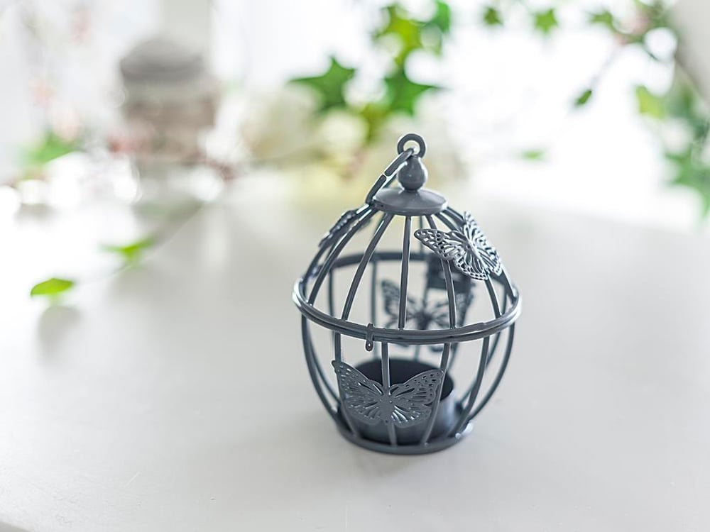 Flutter СВЕЩНИК . Gray