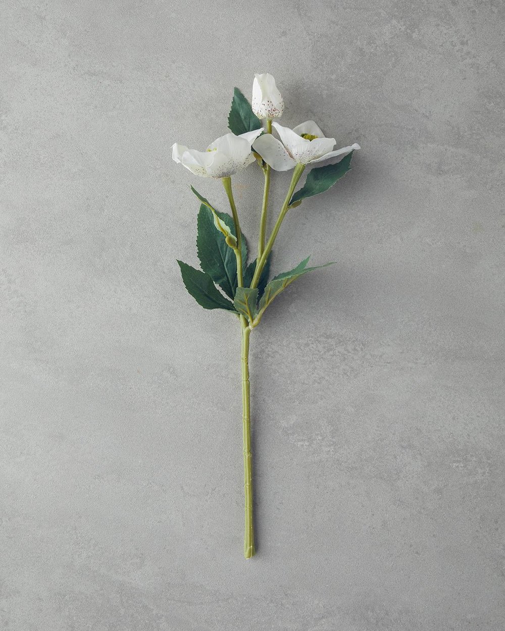 Helleborus Изкуствено Цвете Един Стрък 40 см Бял