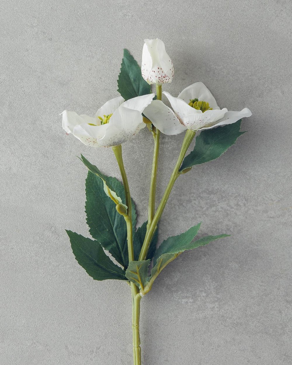 Helleborus Изкуствено Цвете Един Стрък 40 см Бял