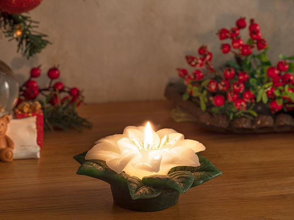 Poinsettia Свещ Бяло, 12,5 Cm