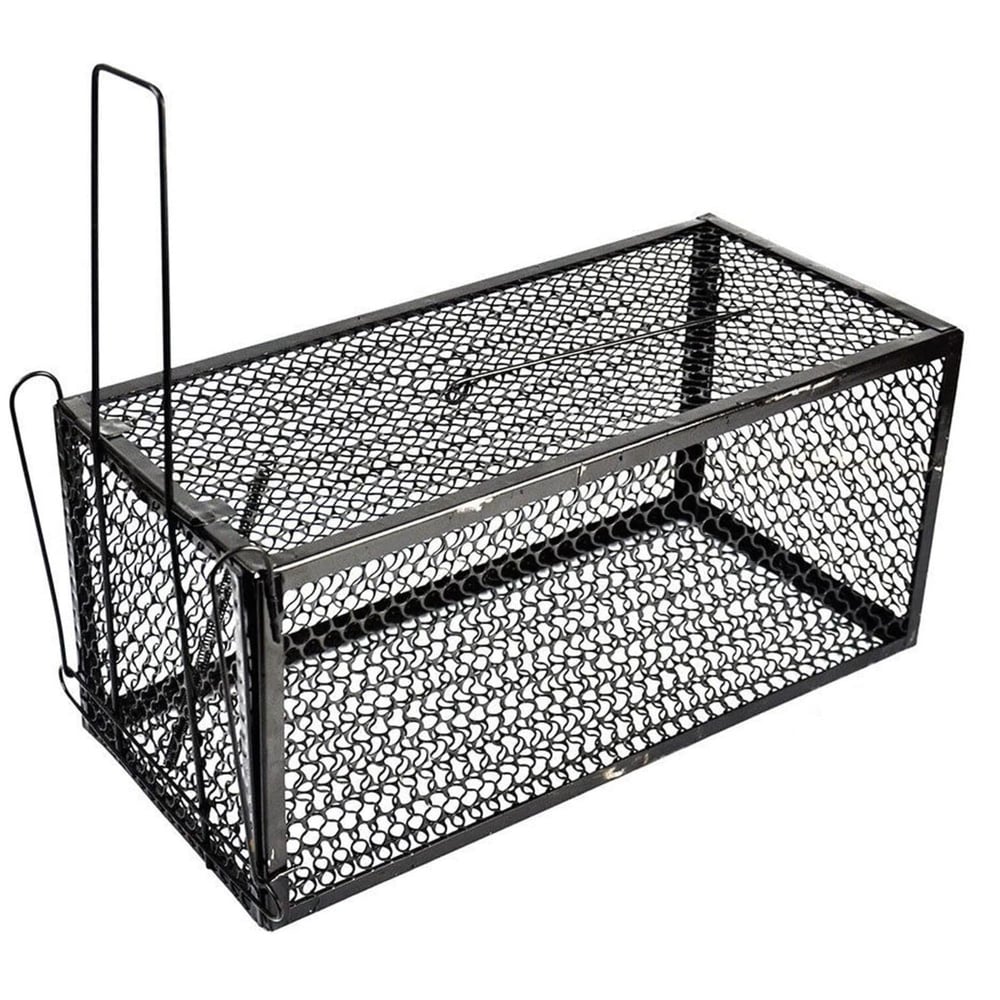 MOUSE TRAP FARE KAPANI (24x11x11)