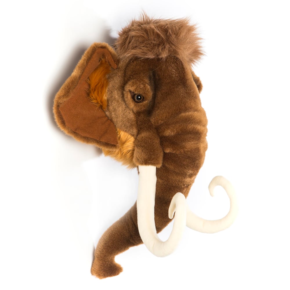 Duvar Aksesuarı, Mamut