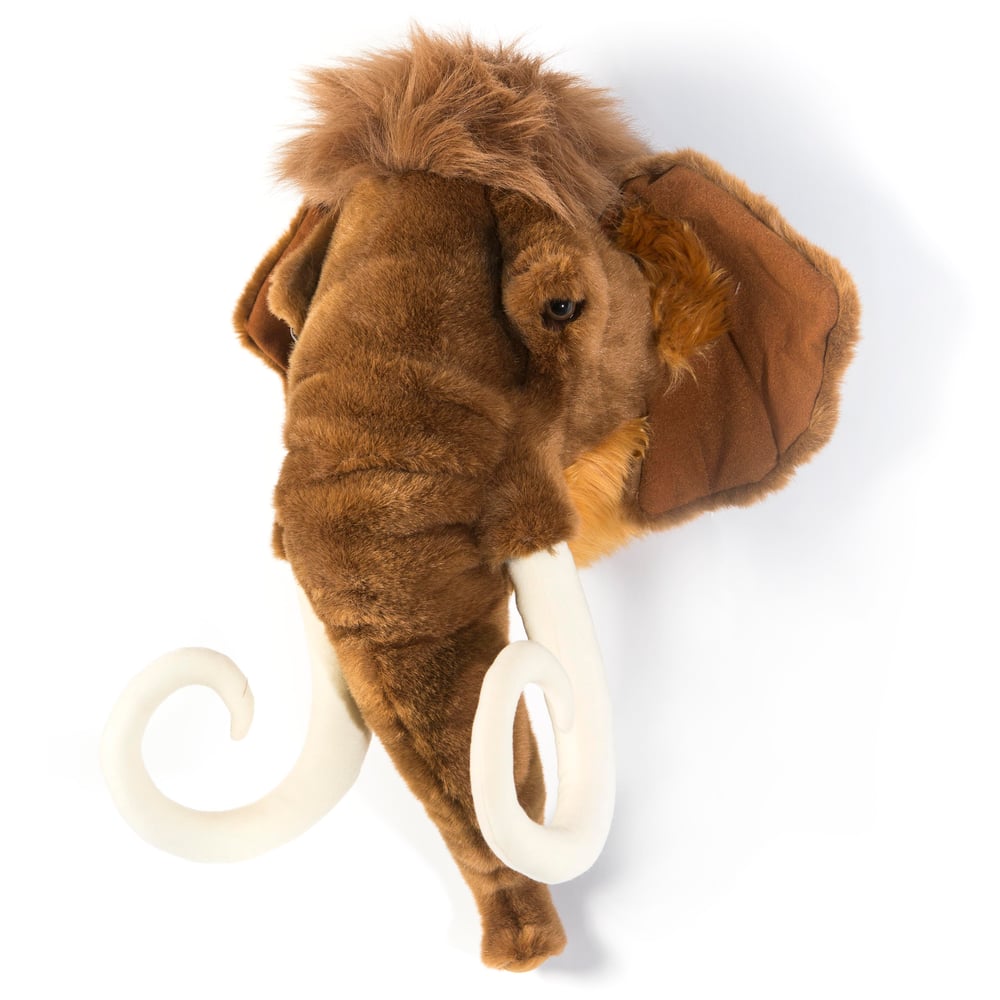Duvar Aksesuarı, Mamut