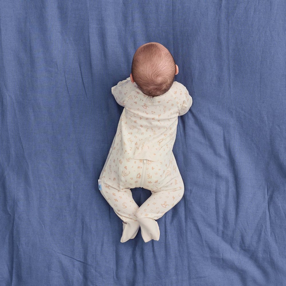Ergopouch Organik Pamuklu Uyku Tulumu (1.0 TOG) Lullaby