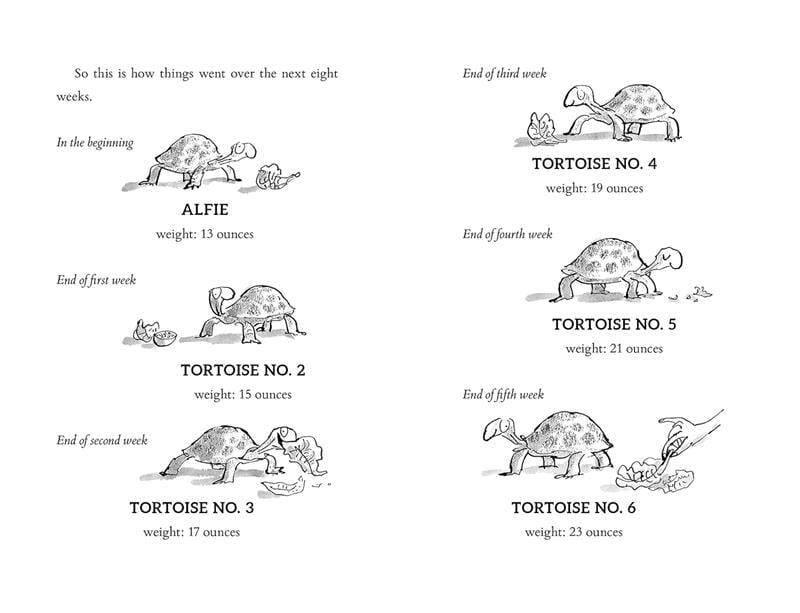 Esio Trot - Paperback