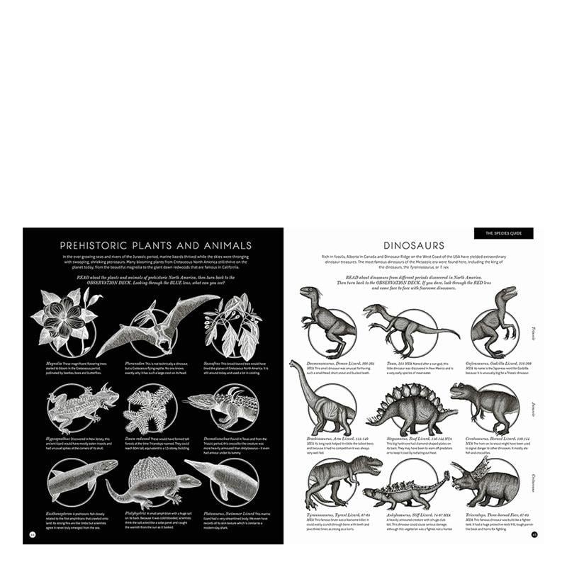 Illumisaurus