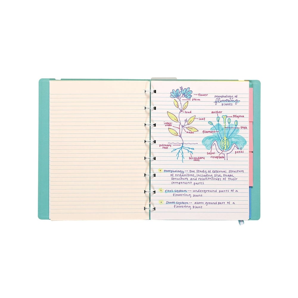 Ooly Writers Duo Çift Uçlu 3’lü Set - Dolma Kalem ve Highlighter