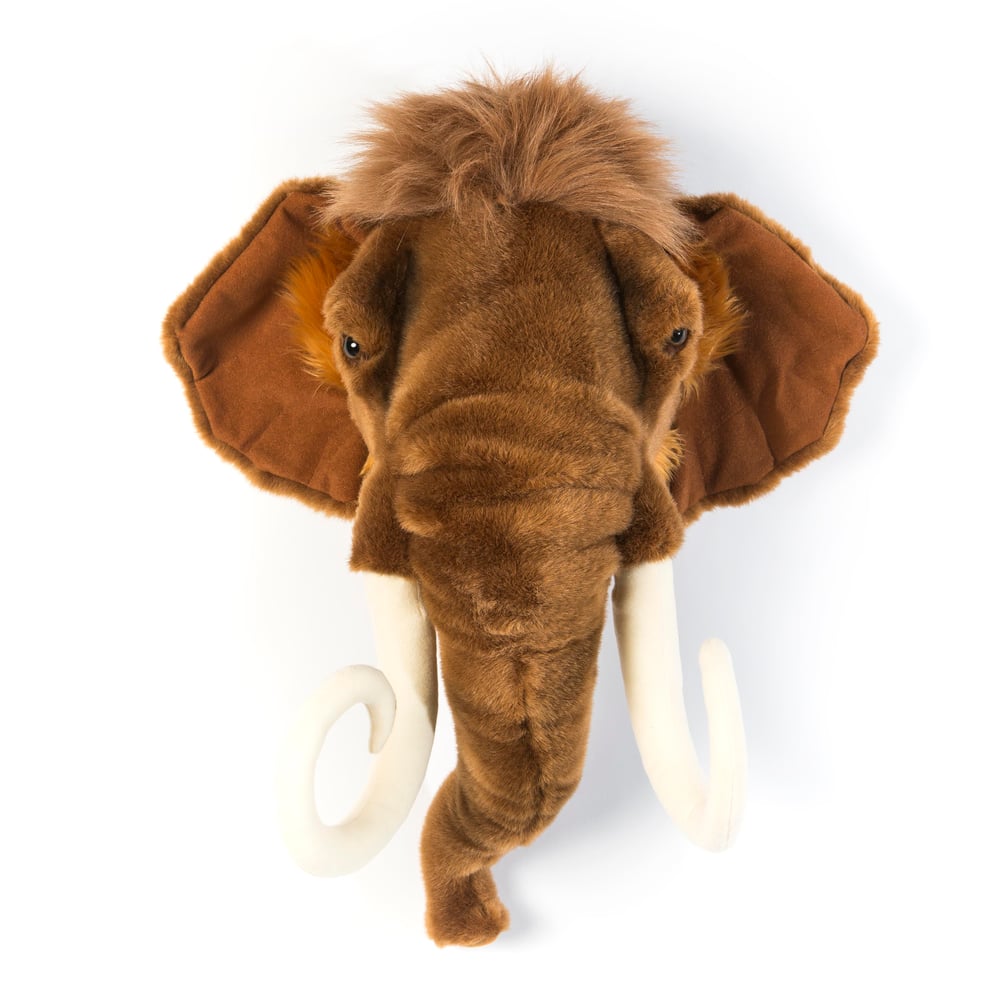 Duvar Aksesuarı, Mamut
