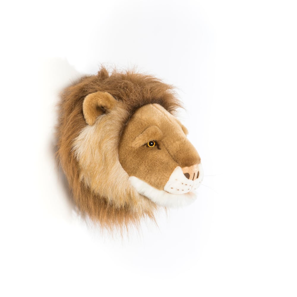 Aslan Cesar