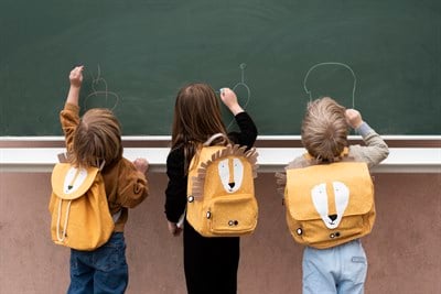 Trixie Sırt Çantası, Mr. Lion