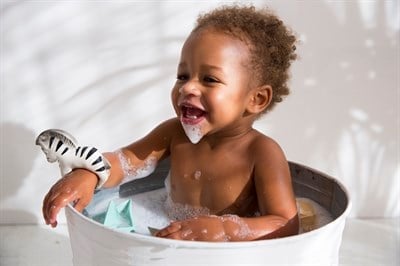 Zoe The Zebra  Bilezik Diş Kaşıyıcı