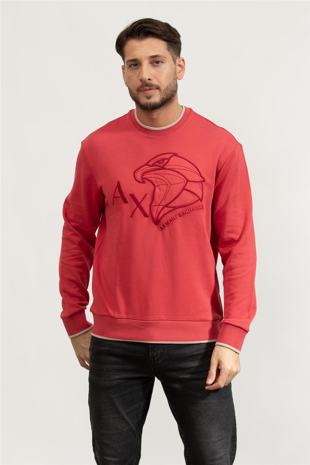 Armani Exchange Erkek Sweatshirt Çok Renkli