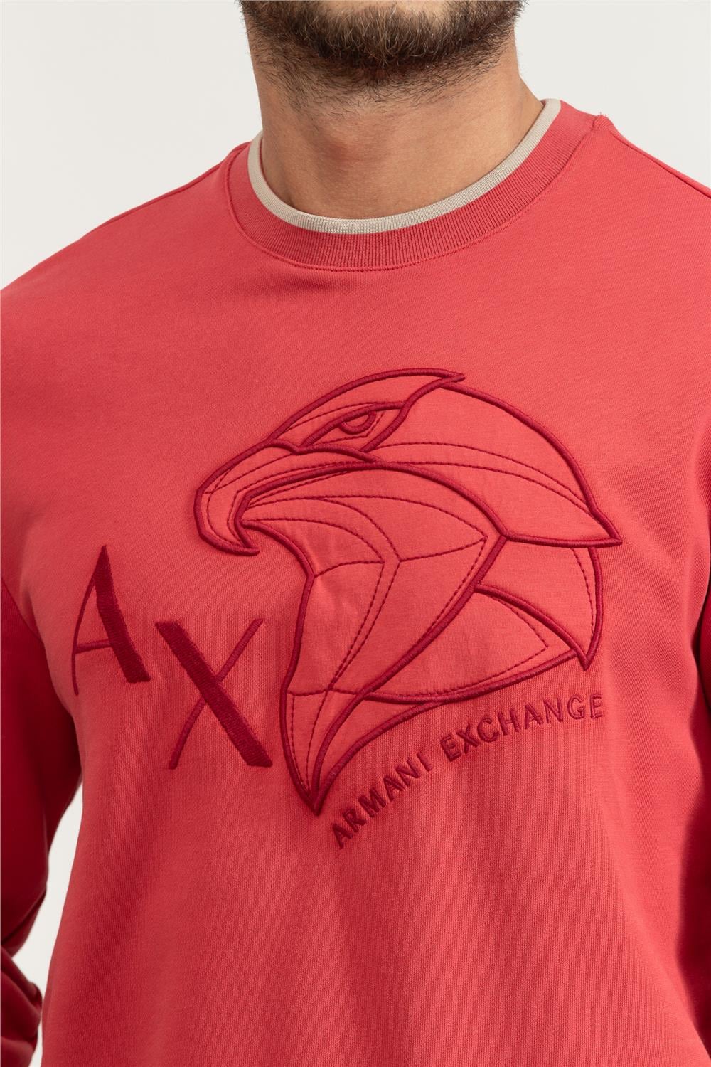 Armani Exchange Erkek Sweatshirt Çok Renkli