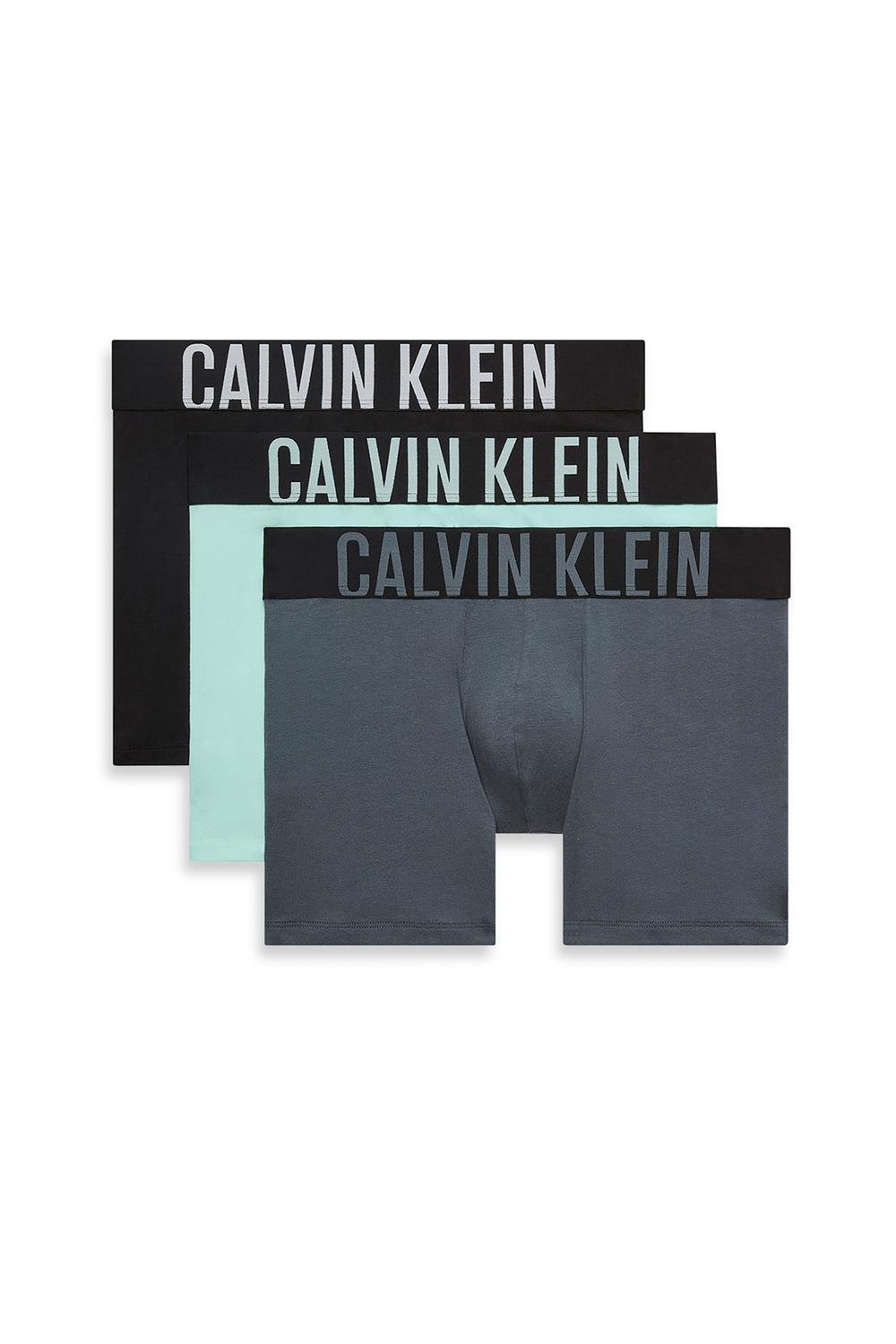 Calvin Klein Boxer Brief Erkek 3lü Boxer