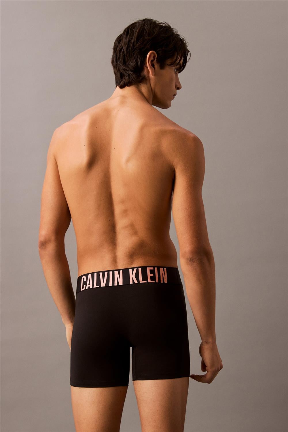 Calvin Klein Boxer Brief 3Pk Erkek 3lü Boxer