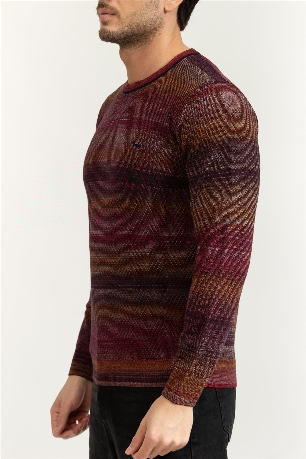 Harmont Blaine Erkek Triko