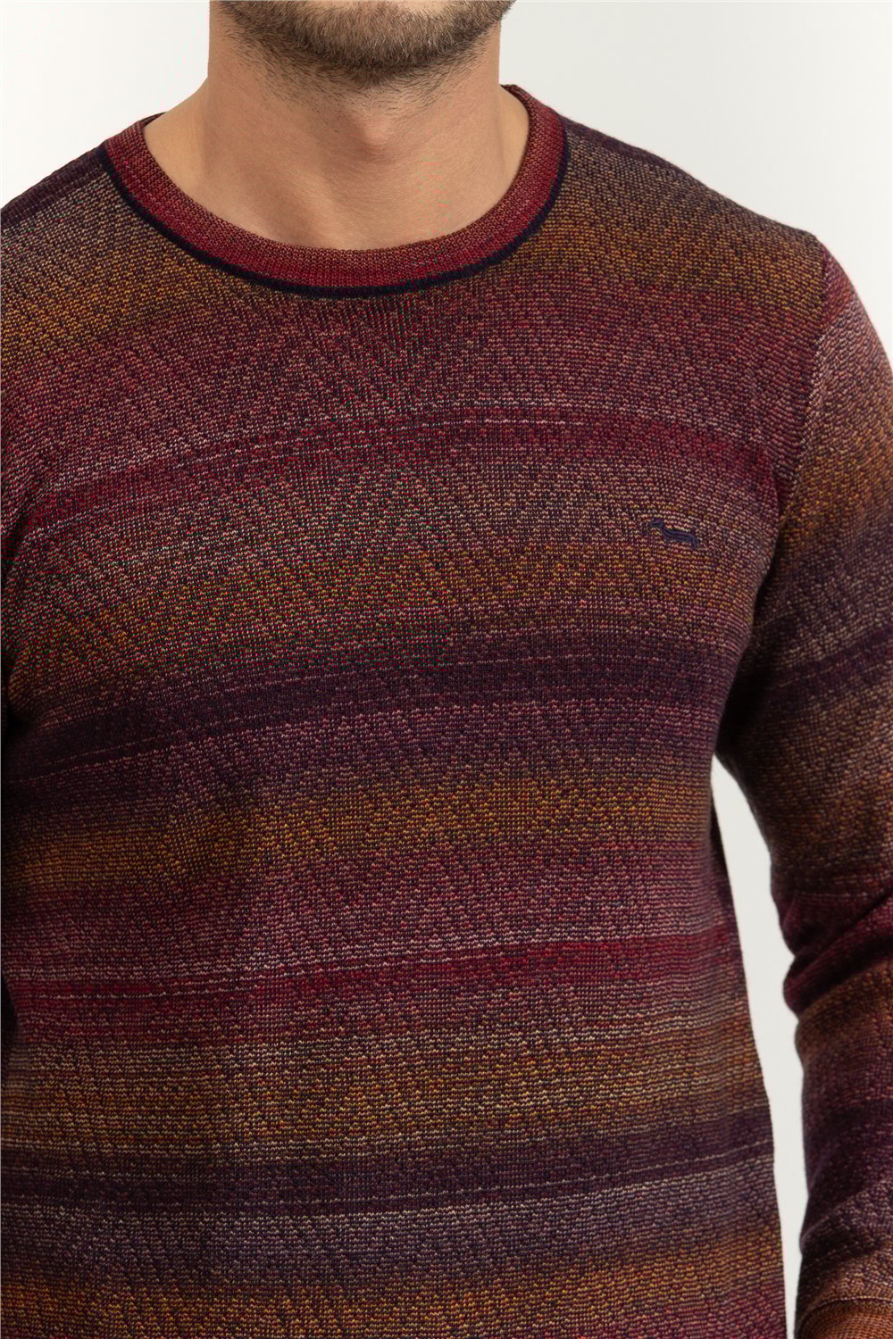 Harmont Blaine Erkek Triko