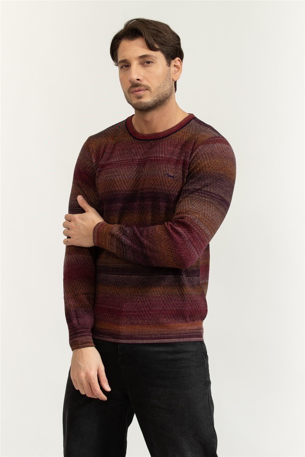 Harmont Blaine Erkek Triko