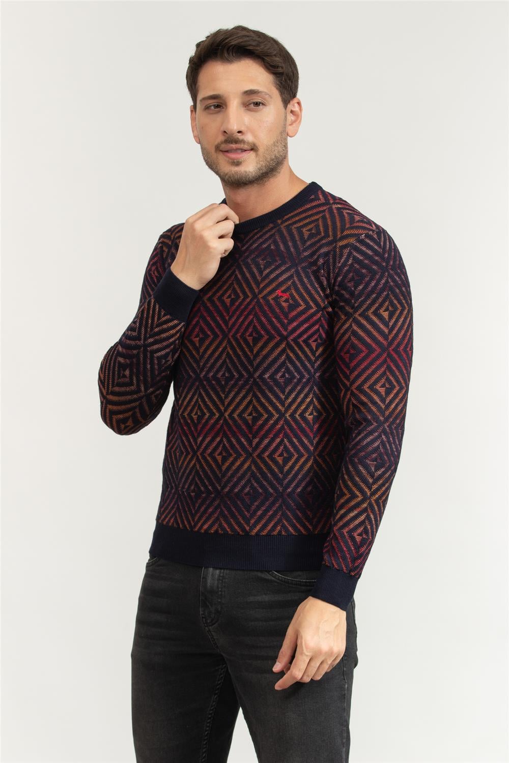 Harmont Blaine Erkek Triko