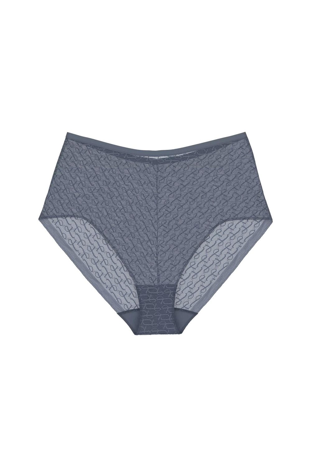 Triumph Kadın Triumph Signature Sheer Maxi EX Külot Mavi