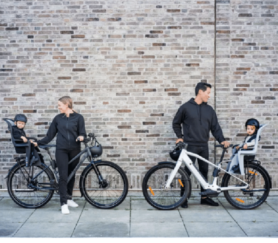 Thule RideAlong 2 Light Grey Bisiklete Bağlanan Çocuk Koltuğu