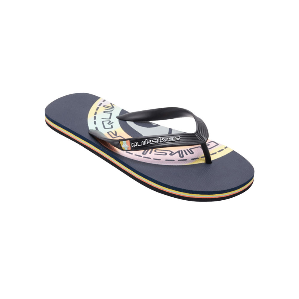 Quiksilver Molokai Art Terlik