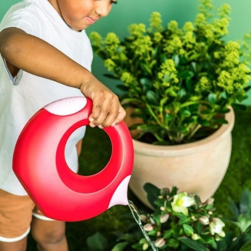 Quut Çift Taraflı Çocuk Sulama Kabı Large - Cherry