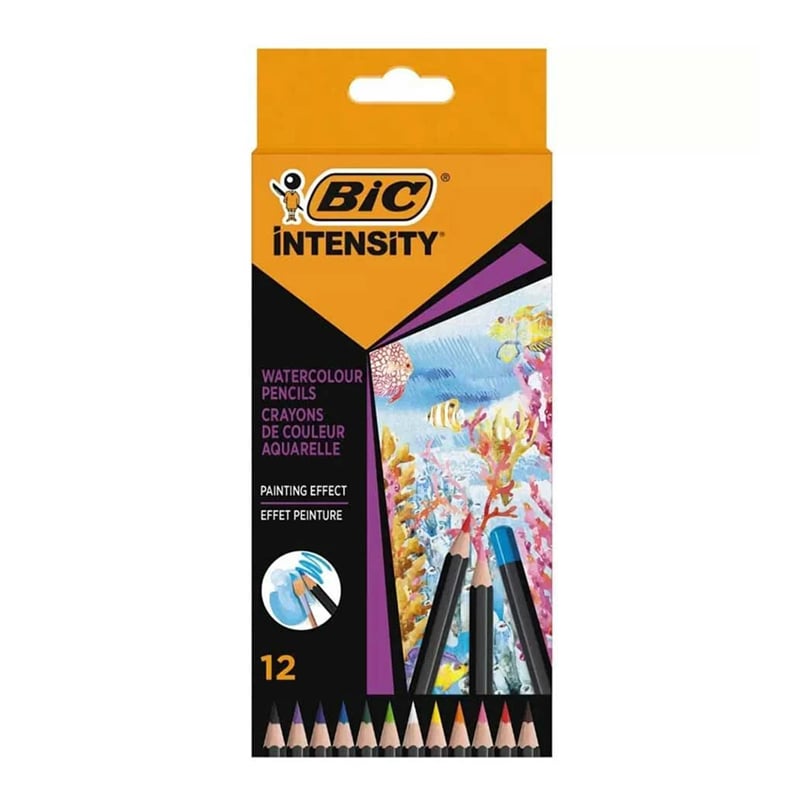 BİCBİC AQUACOLOUR 12 RENK KURU SULU BAZLI3086123717190