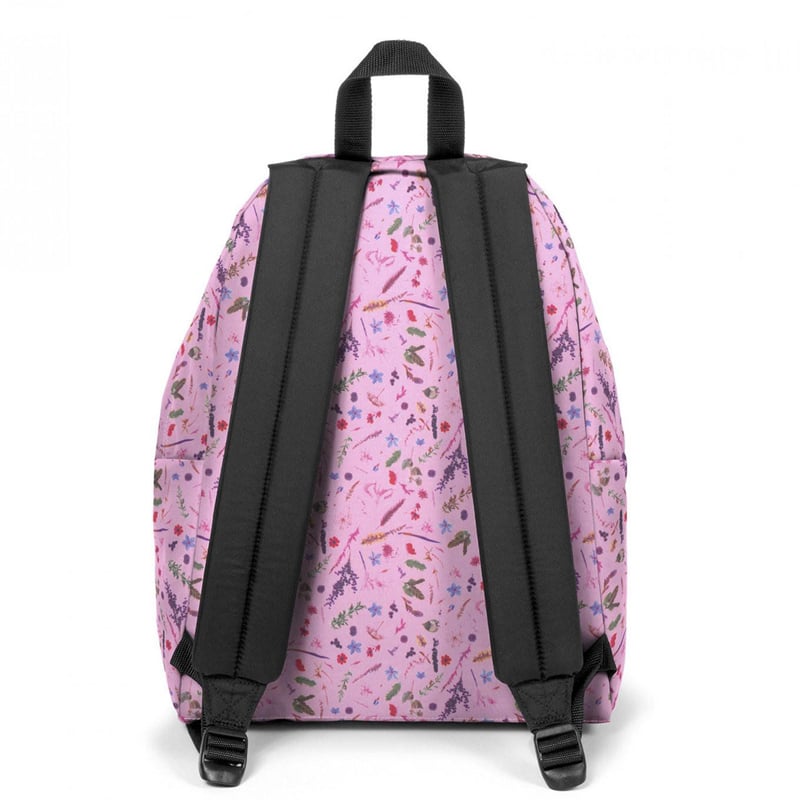 Eastpak Sırt Çantası Padded PakR Herbs Pınk Ek000620K441