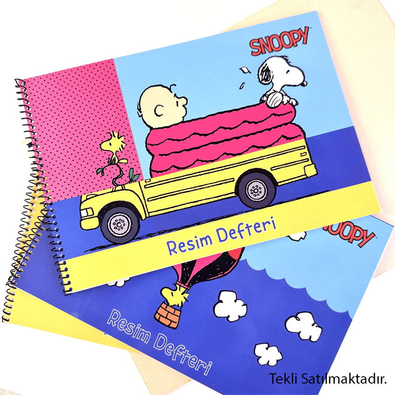 Gıpta Defter Snoopy Sp.Resim Def.17X24-15 Yp.