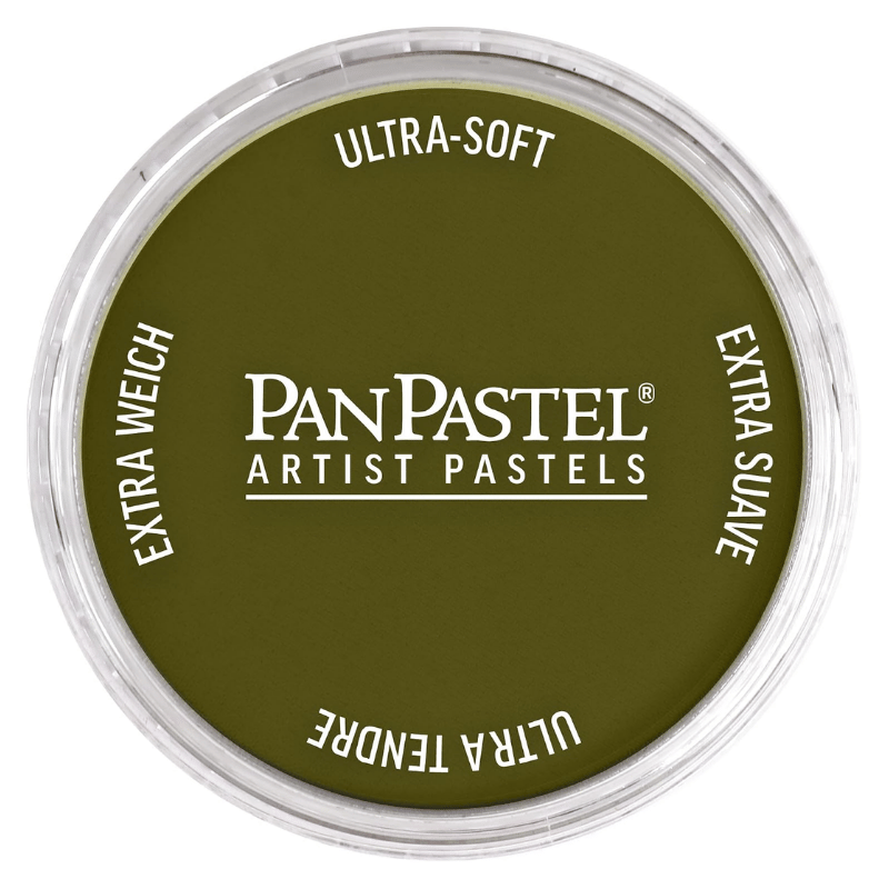 PANPASTELPANPASTEL ARTISTS PASTEL 680.3 BRİGHT YELLOW GREEN SHADE879465001354