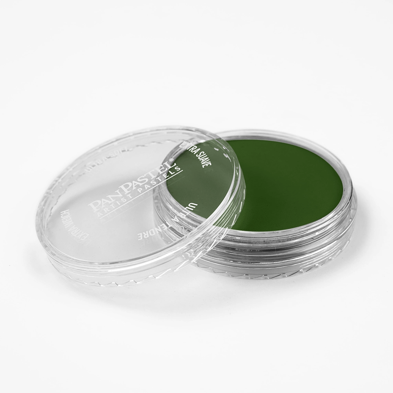 Panpastel Pz-2 Artısts Pastel Yuvarlak Kutu 9Ml 660.5 Chrome Oxıde Green