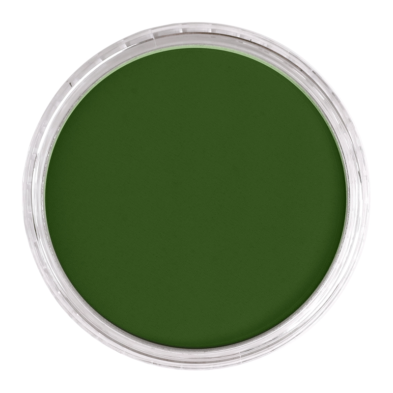 Panpastel Pz-2 Artısts Pastel Yuvarlak Kutu 9Ml 660.5 Chrome Oxıde Green
