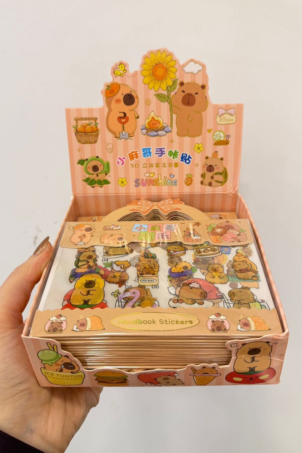  Mini Kurdele Capybara  Sticker