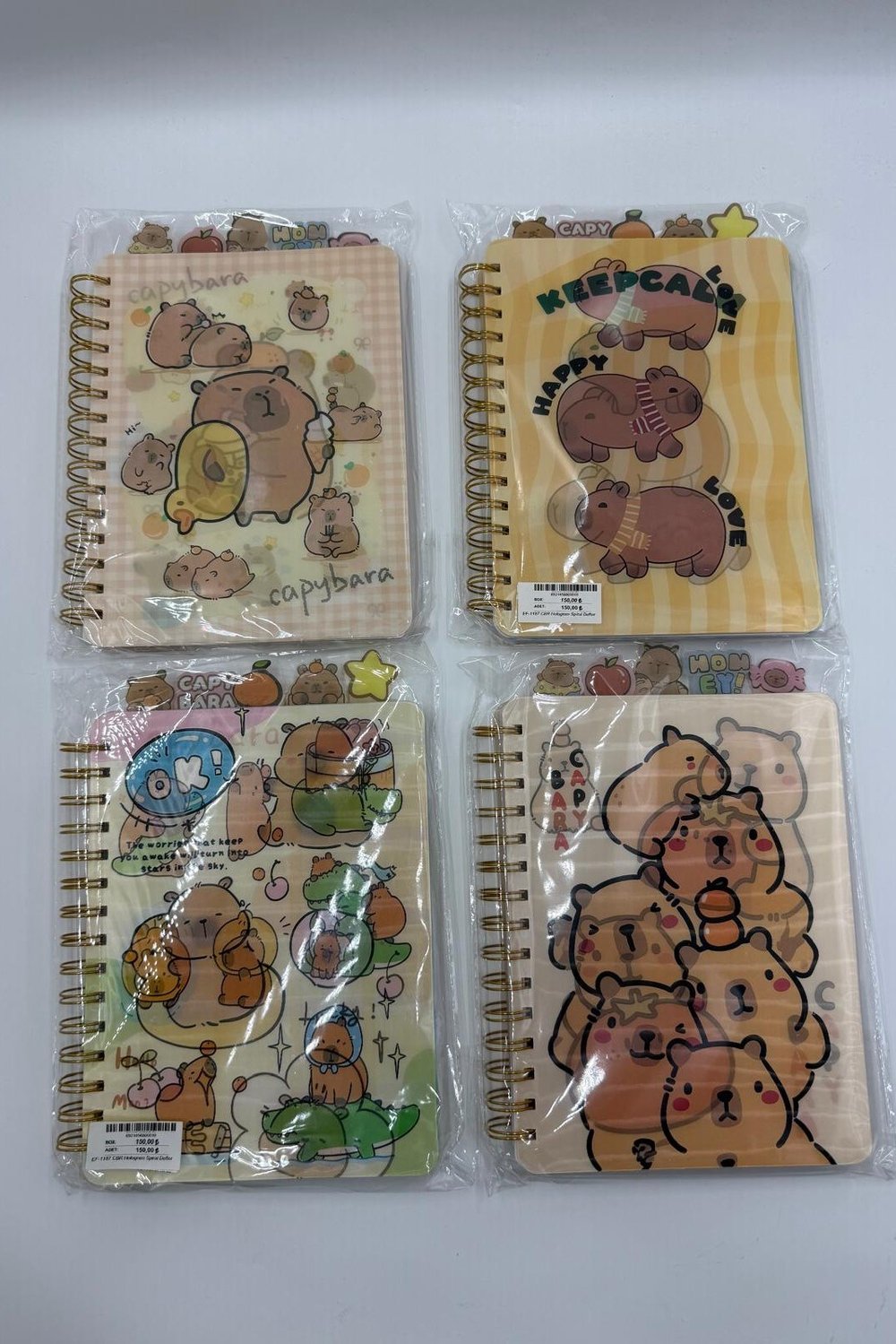 Capybara Hologram Spiral Defter Çeşitleri