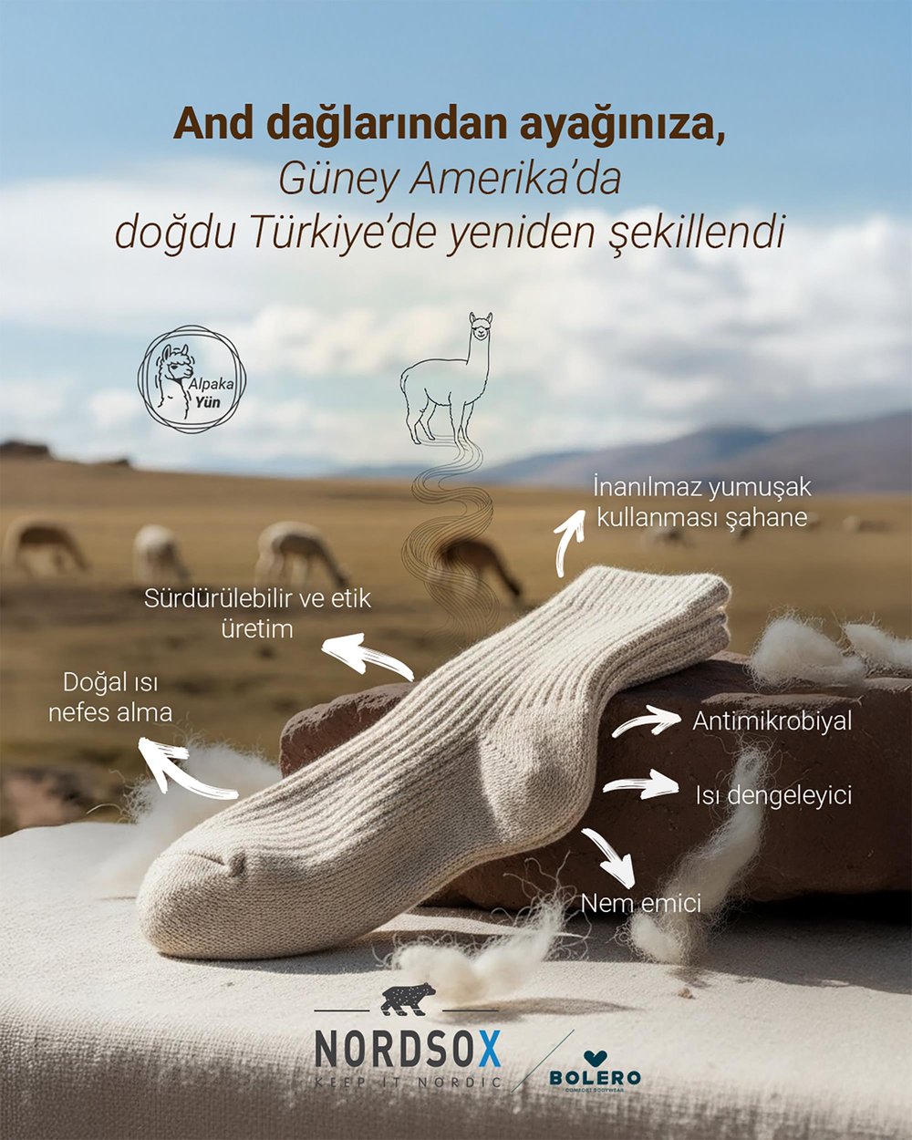 Erkek Alpaka Yün Kışlık Çorap Siyah