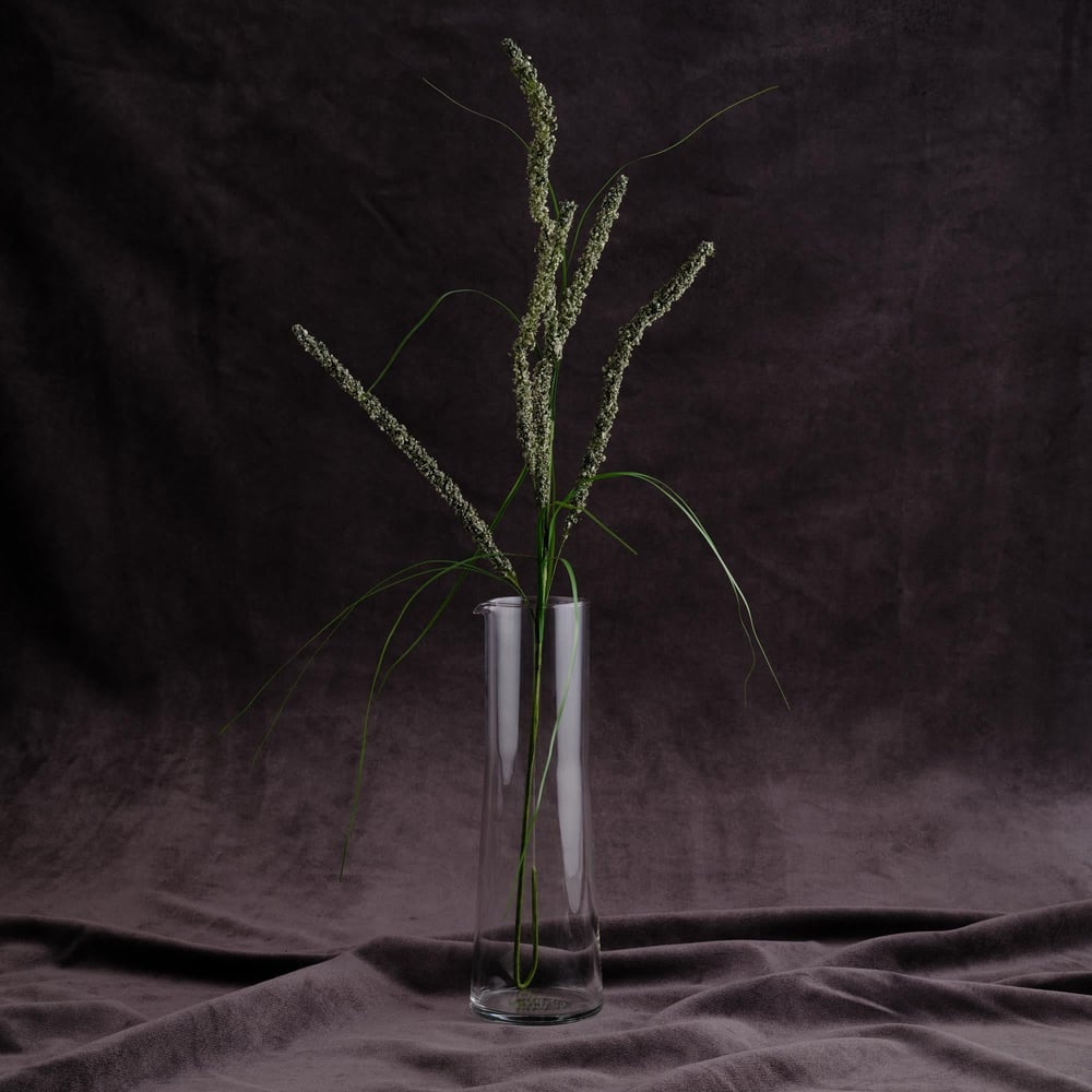 ASTILBE DEKORATİF ÇİCEK