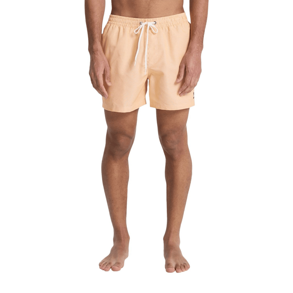 Deluxe 15 Erkek Şort EQYJV04101-3091