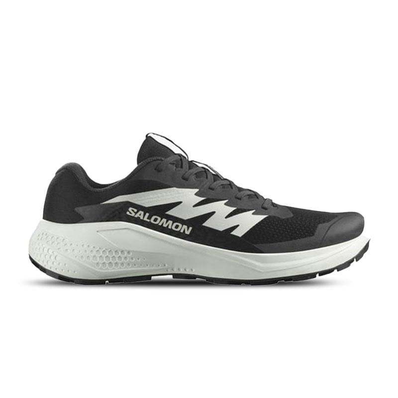 Salomon Alphaglıde Erkek Koşu Ayakkabısı L47801000 Siyah