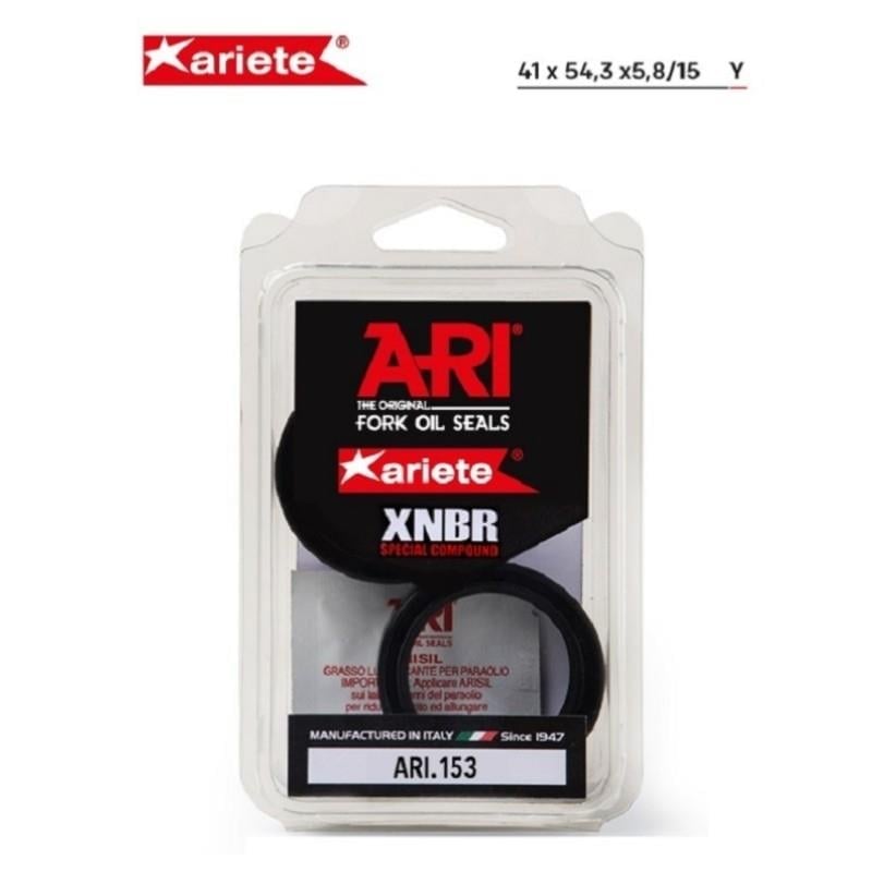 ARIETE Ön Amortisör Yağ Keçesi Çift Yaylı (41x54,3x5,8/15) ARI.153