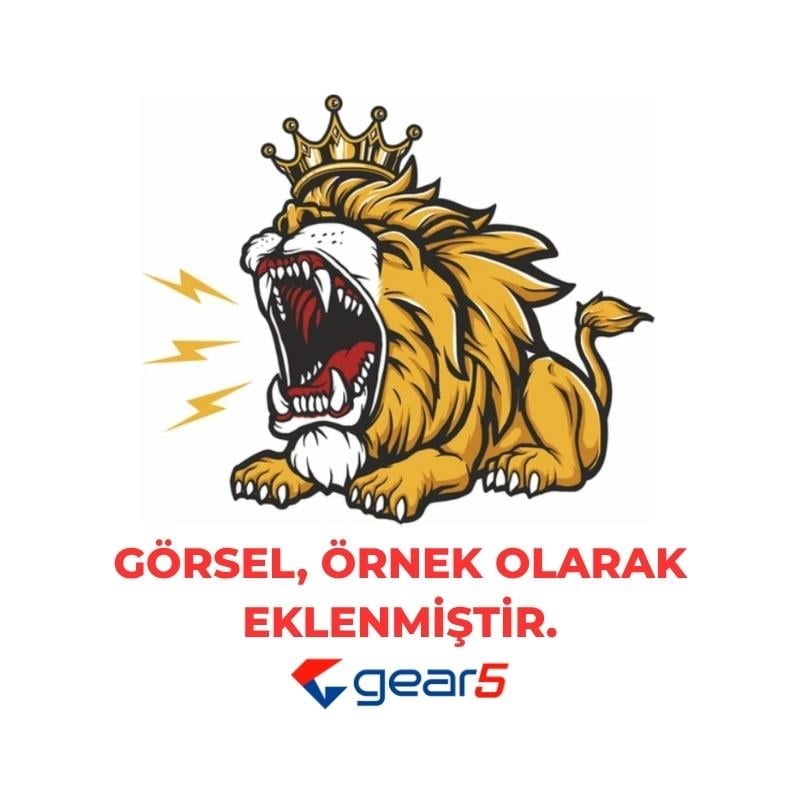 Gear5 Tekli Sticker Karışık Model STC1 (10x10)