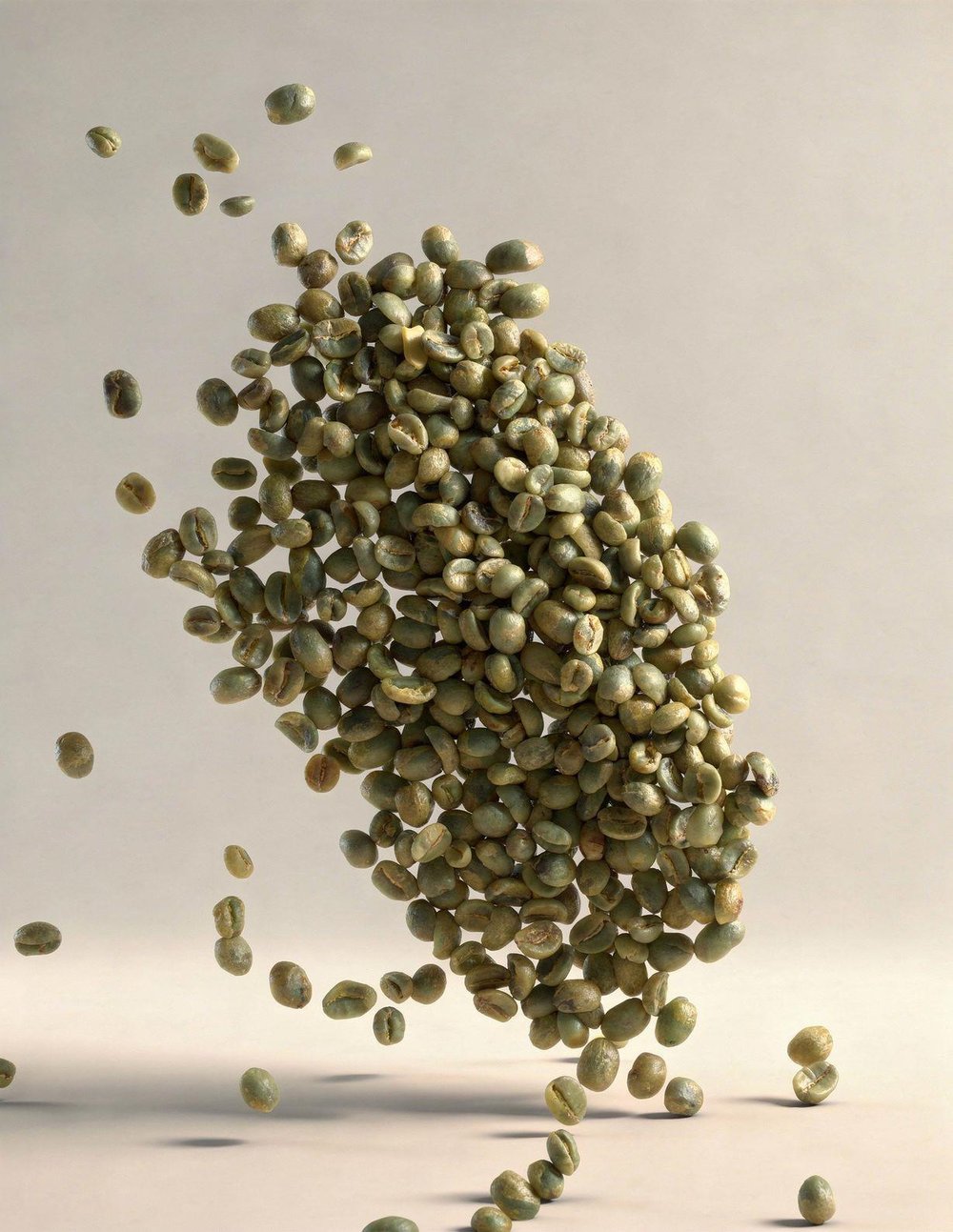 India Plantation Arabica AAA Green Coffee – 1 Sack 60 kg