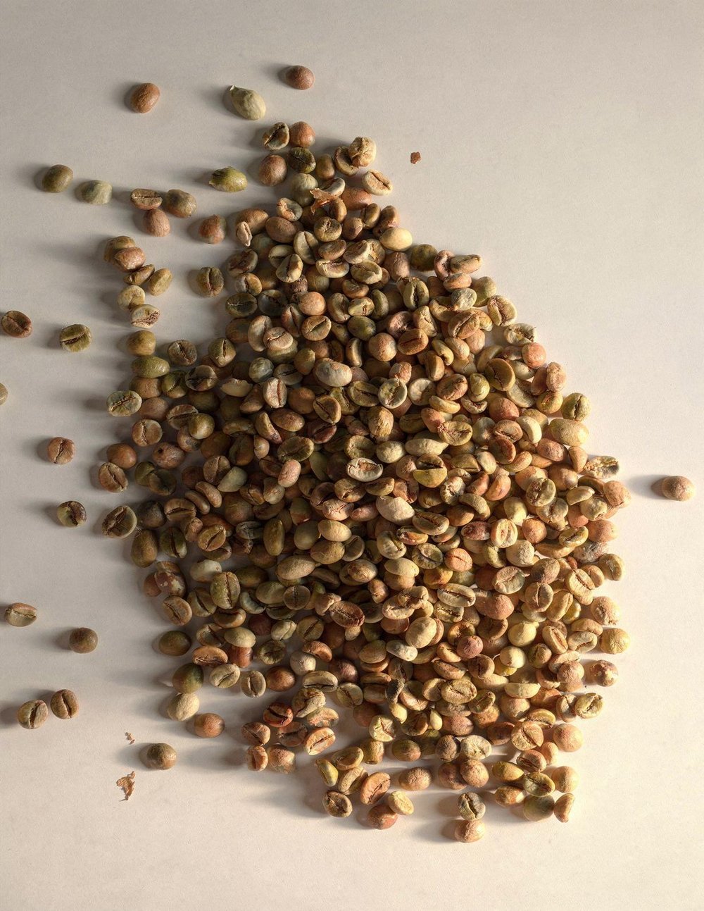 India Robusta Cherry A Green Coffee – 1 Sack 60 kg