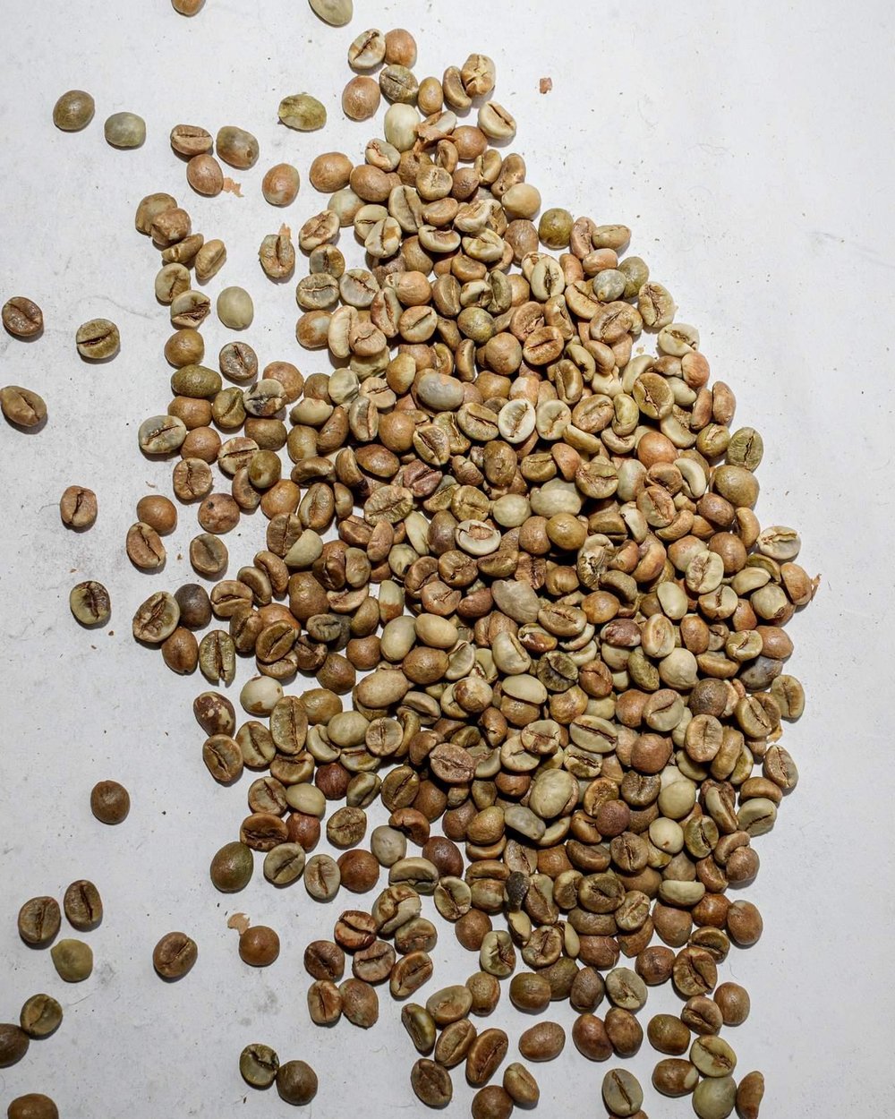 India Robusta Cherry A Green Coffee – 1 Sack 60 kg