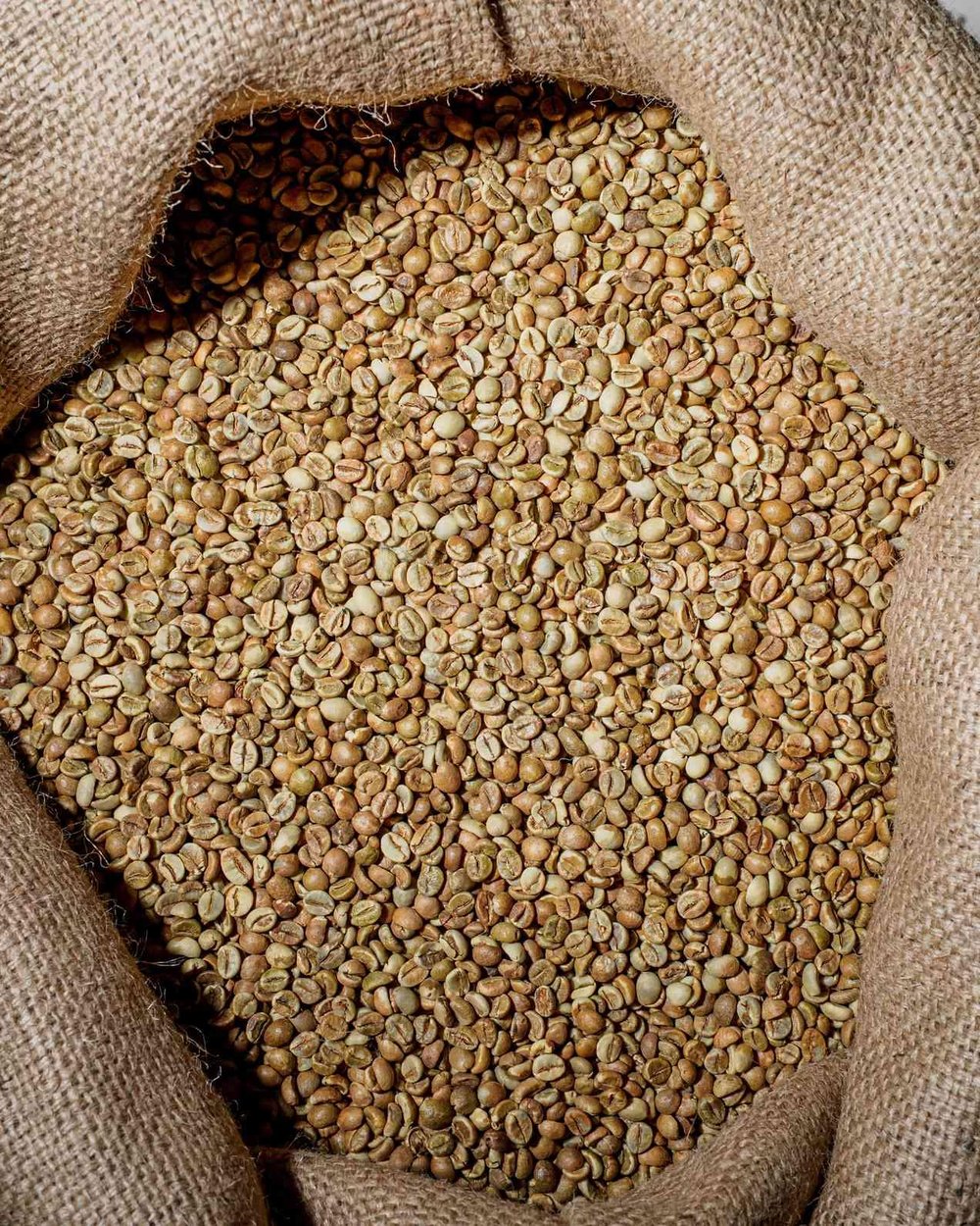 India Robusta Cherry AA Green Coffee – 1 Sack 60 kg